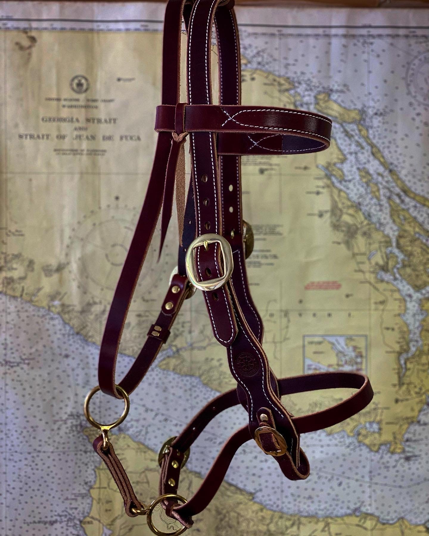 Military Style Bridle