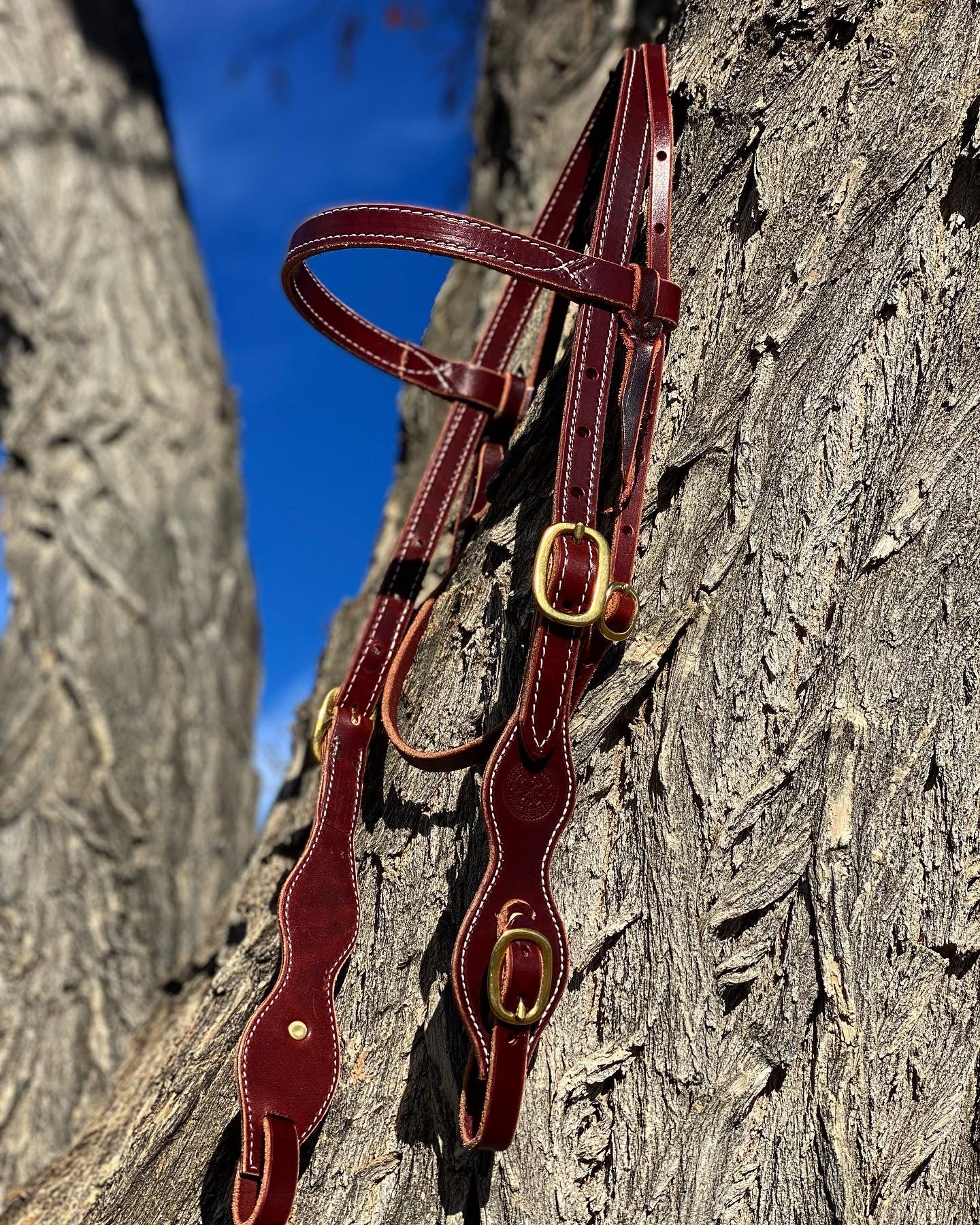 Adjustable Bridle