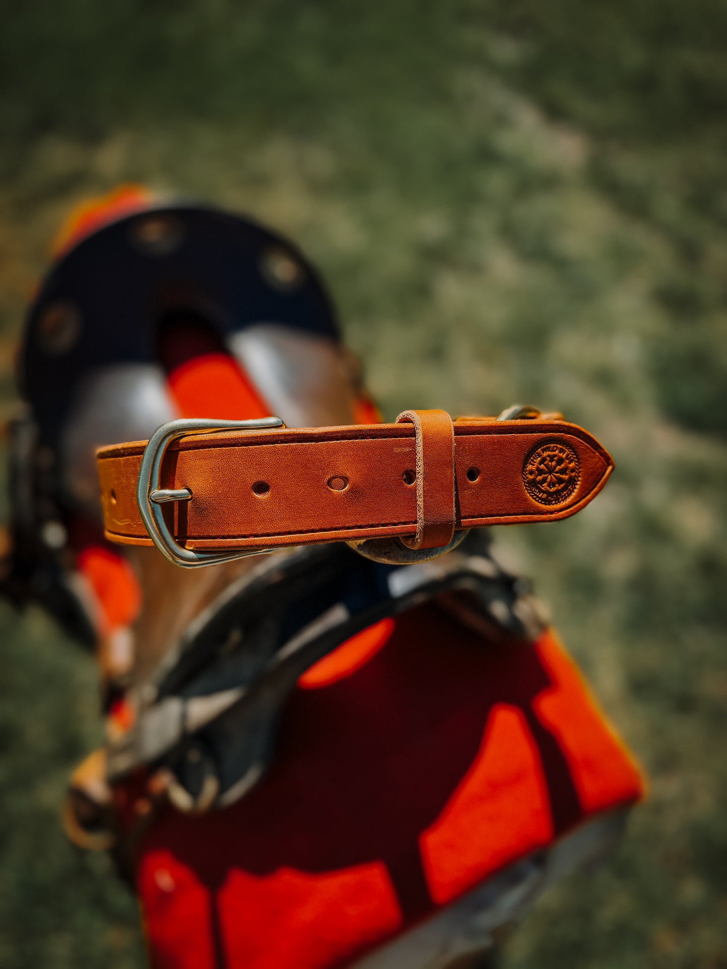 Hobble Belt