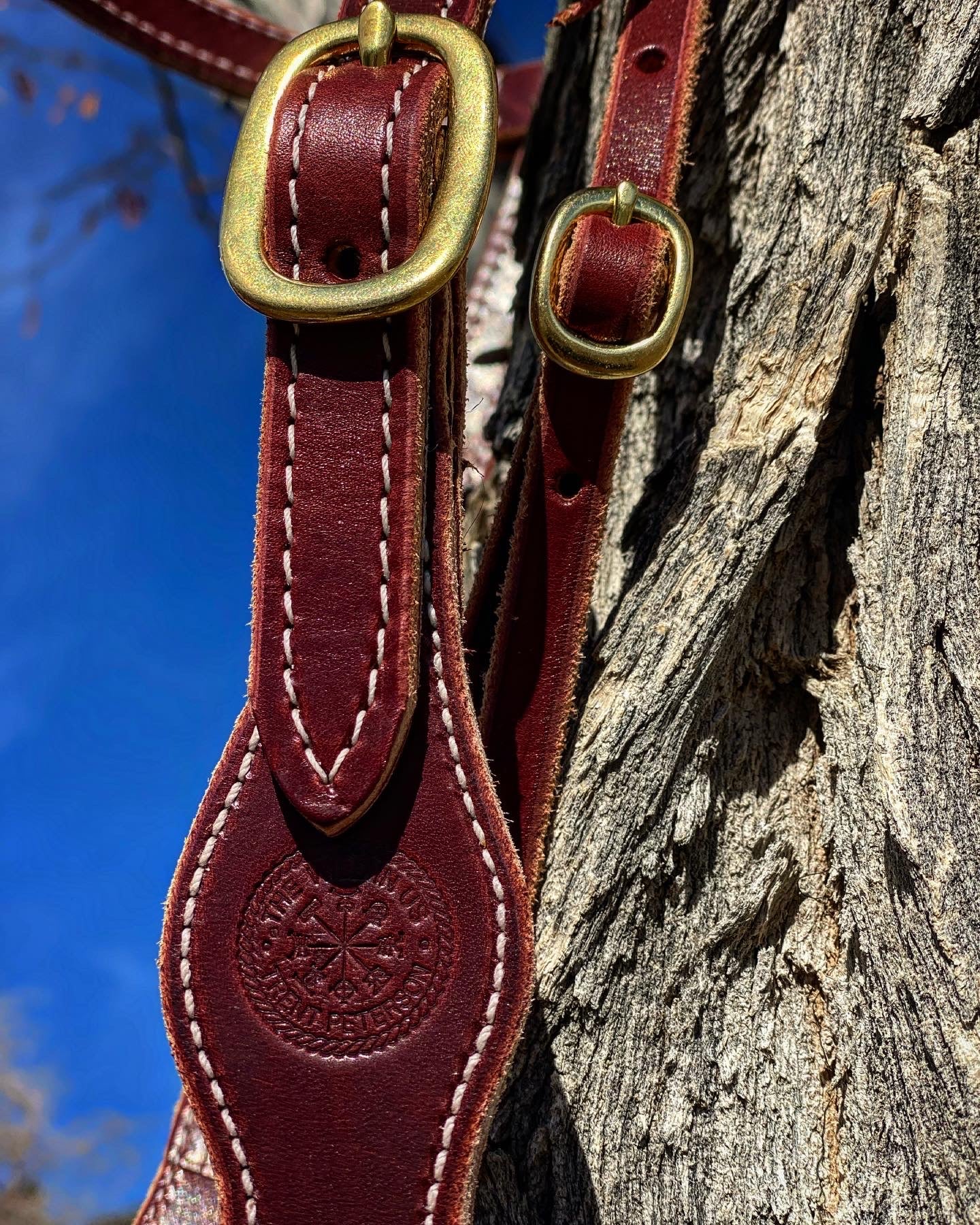 Adjustable Bridle