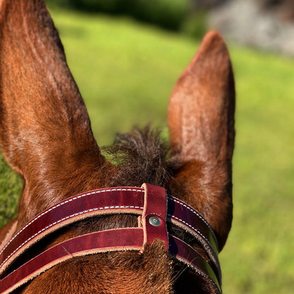 Military Style Bridle