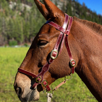 Military Style Bridle