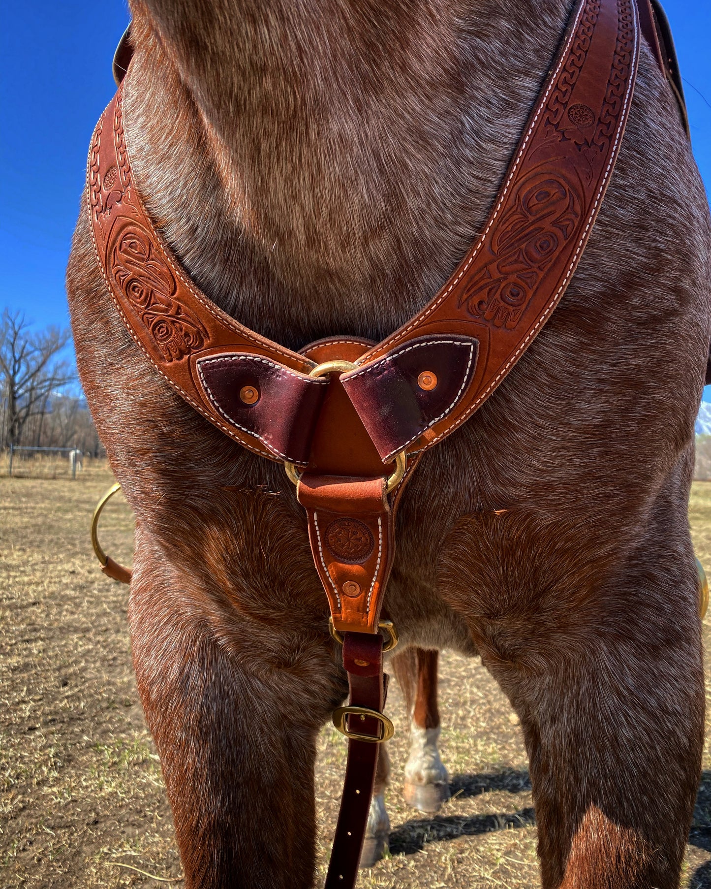 Pulling Breast Collar