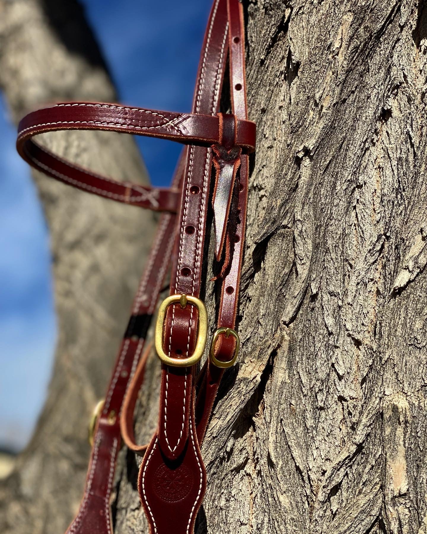 Adjustable Bridle