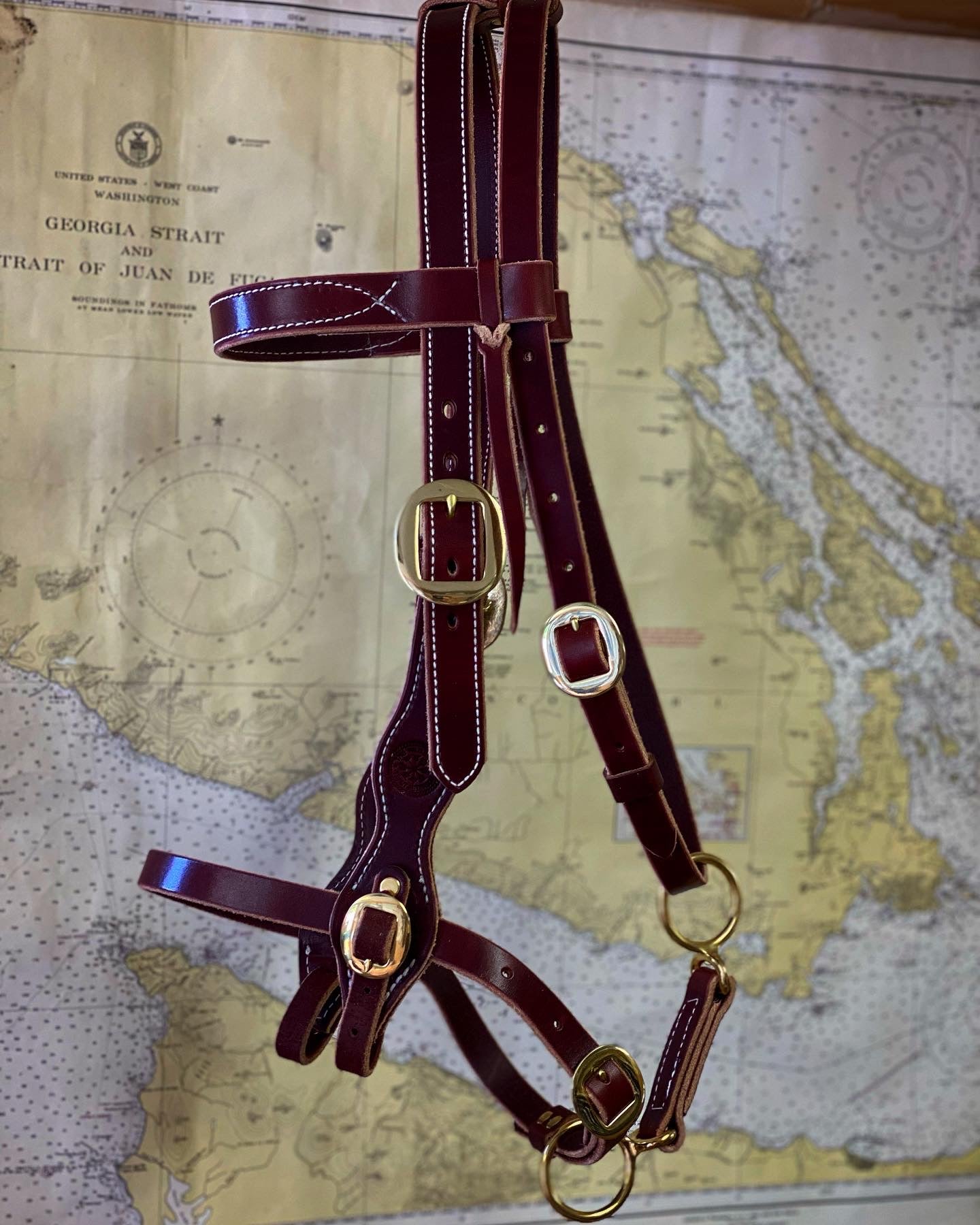 Military Style Bridle