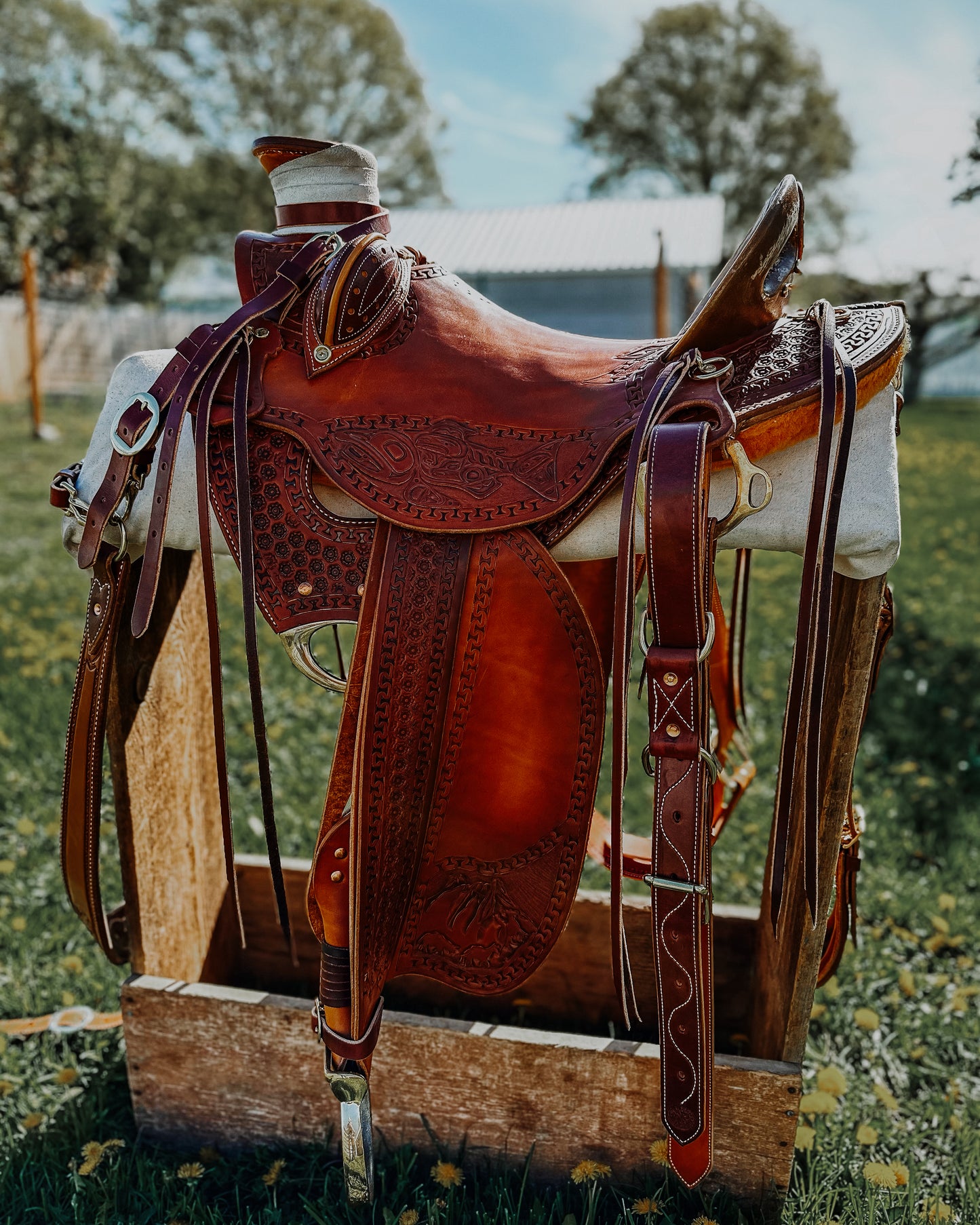 Mountain Saddle
