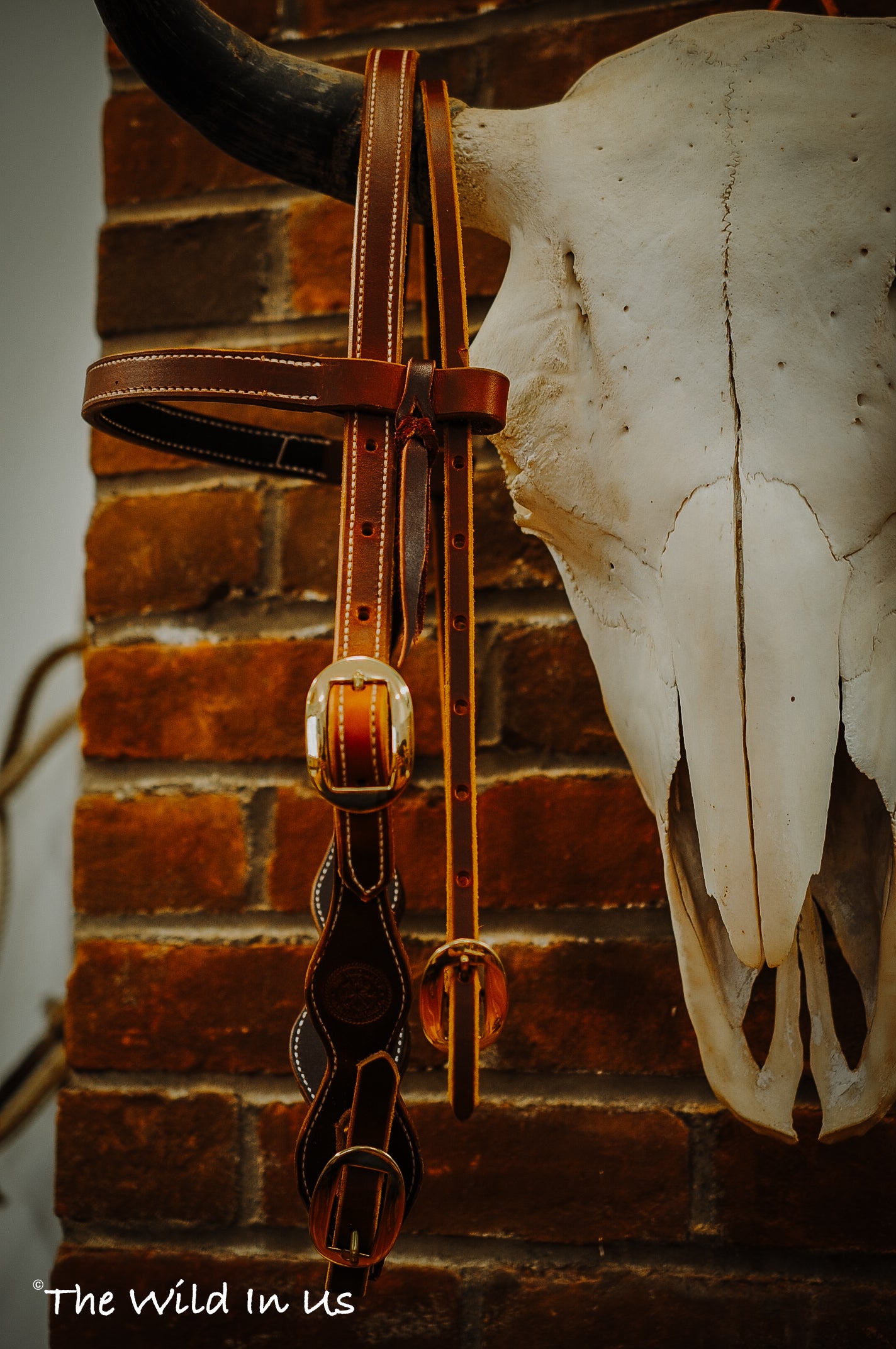 Adjustable Bridle