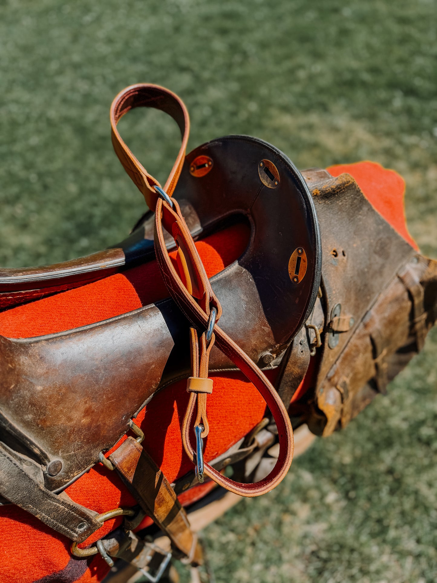 Hobble Belt