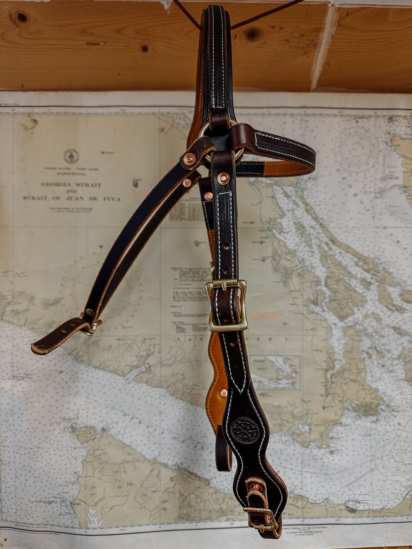 Mule Bridle