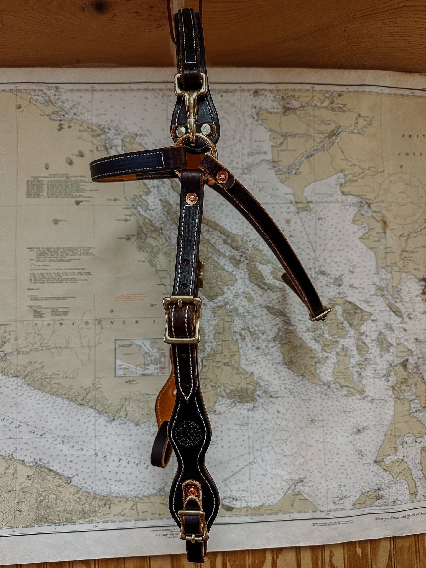 Mule Bridle