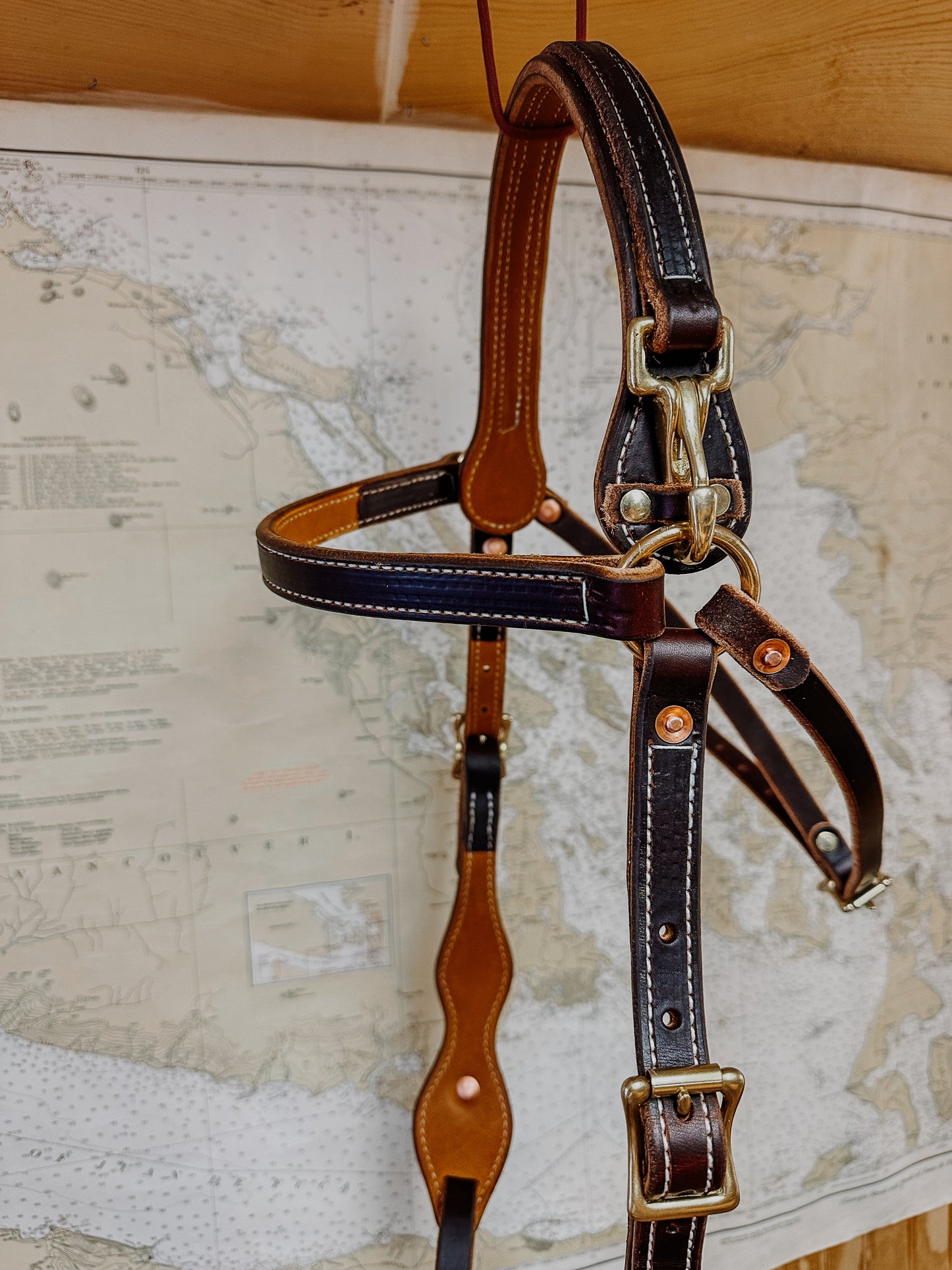 Mule Bridle
