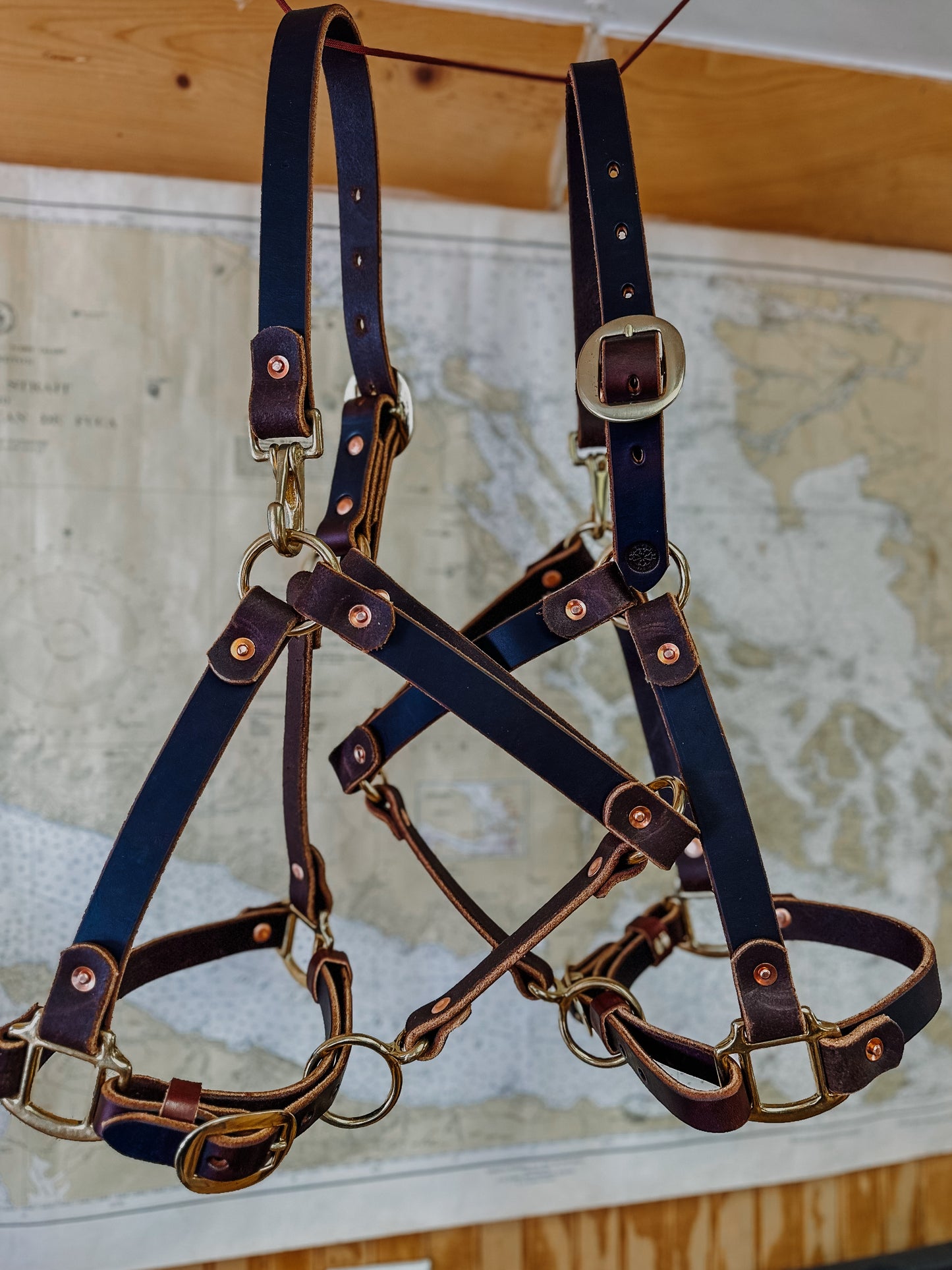 Basic Leather Halter