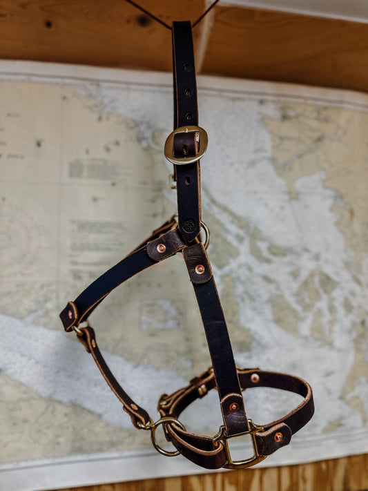 Basic Leather Halter