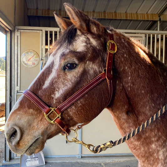Stitched Halter